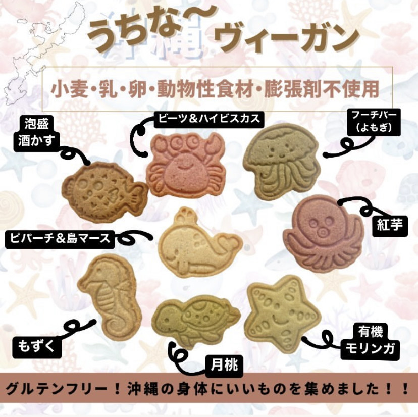 沖縄モチーフのうちな〜ヴィーガン焼き菓子